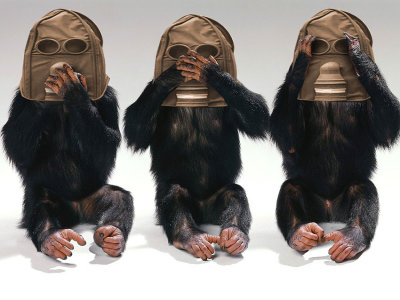 Monkey-Masks.jpg
