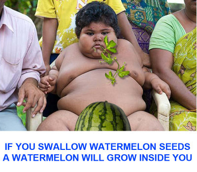 Watermelon-seeds.jpg