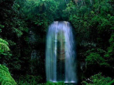 Waterfall-Nymph.jpg