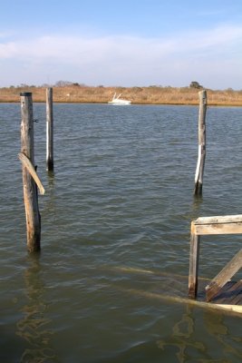 10.  A sunk finger pier at the boat landing.