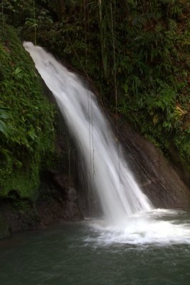 24.  Falls in the botanical gardens at Guadaloupe.