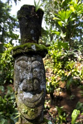 27.  A mossy but smiling tiki.