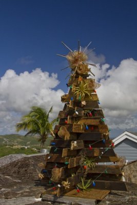 29.  A Reggae Christmas tree on Antigua.