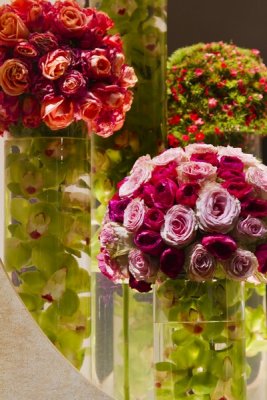 THE 2013 PHILADELPHIA FLOWER SHOW