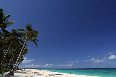 Palm trees, Puka Shell Beach, Boracay