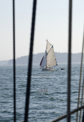 _DSC7062_1812.JPG