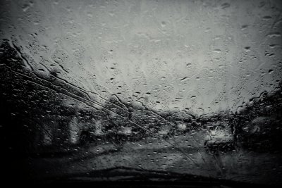 Wet & Miserable Day (Mar 8th)