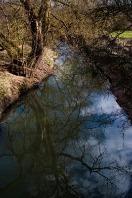 Reflections On Nature
