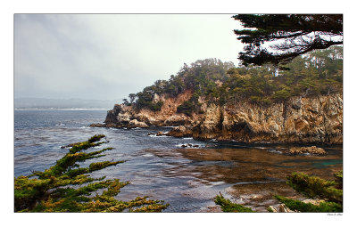 Point Lobos - State Reserve - Carmel - CA.jpg