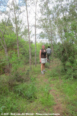 Jos birding the open woodland towards the mangrove