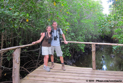 Us, at the boardwalk in the mangrove forest