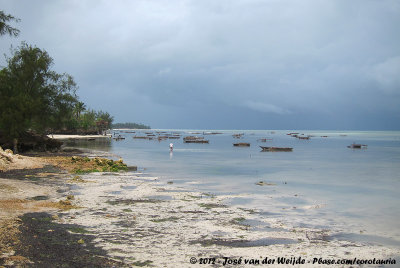 East coast of Zanzibar