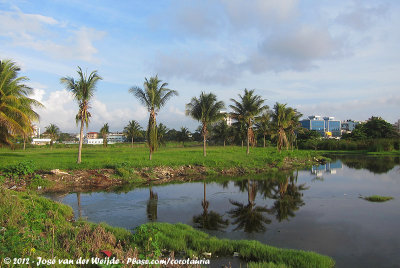 The marsh at the north-side of town