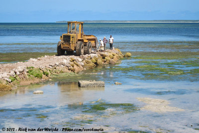 Construction workers working on a dam during low tide