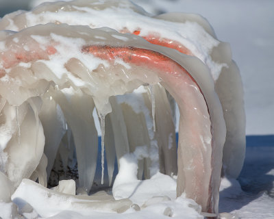 The Teeth of Winter