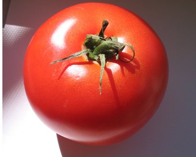 organic tomato 3