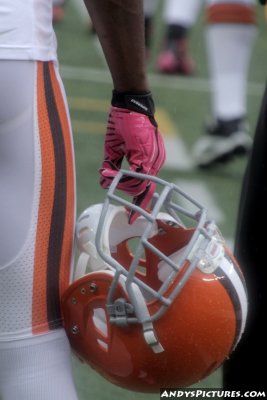 Cleveland Browns helmet