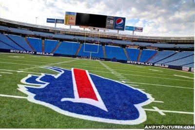 Ralph Wilson Stadium - Orchard Park, NY