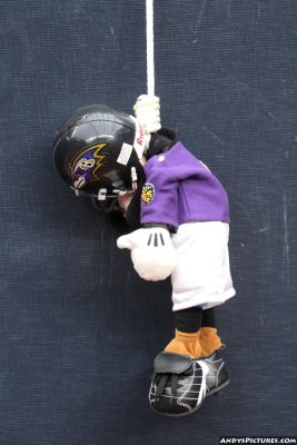 Baltimore Ravens effigy 