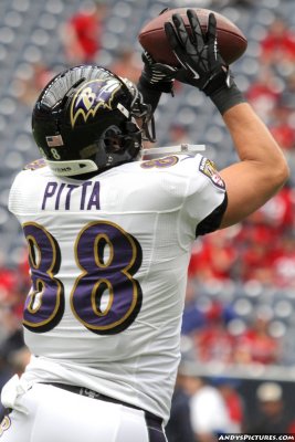 Baltimore Ravens TE Dennis Pitta