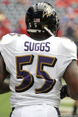 Baltimore Ravens LB Terrell Suggs