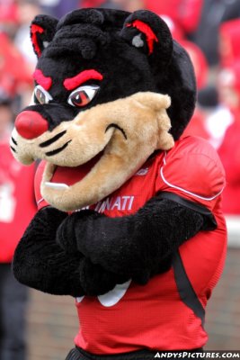 Cincinnati Bearcats mascot