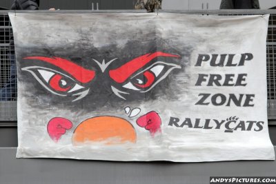 Cincinnati Bearcats banner