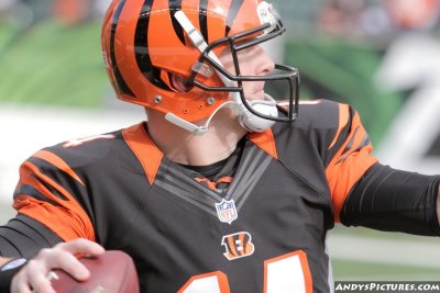 Cincinnati Bengals QB Andy Dalton
