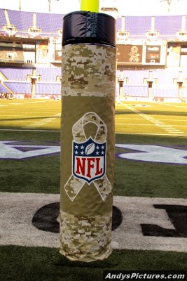 NFL Salutes to Veterans