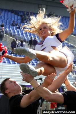 Baltimore Ravens cheerleader