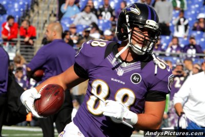 Baltimore Ravens TE Dennis Pitta