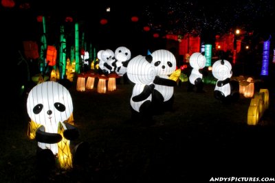 Dallas' Chinese Lantern Festival