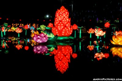 Dallas' Chinese Lantern Festival