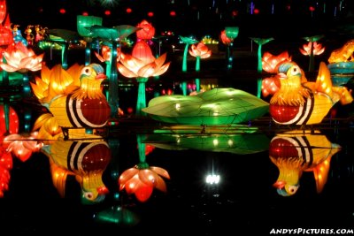 Dallas' Chinese Lantern Festival