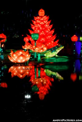 Dallas' Chinese Lantern Festival