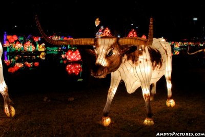 Dallas' Chinese Lantern Festival