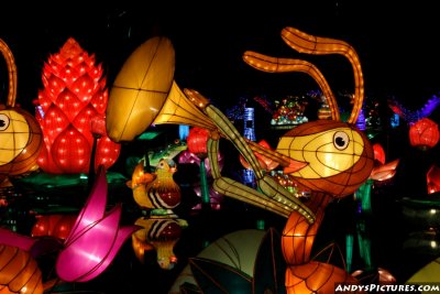 Dallas' Chinese Lantern Festival