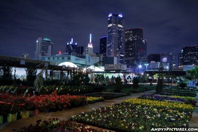 Dallas at Night