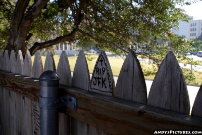 View of street from the Grassy Knoll