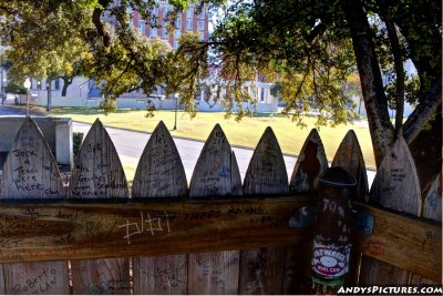 View of street from the Grassy Knoll