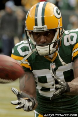 Green Bay Packers WR Donald Driver