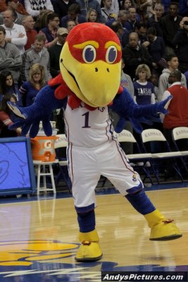 Kansas Jayhawks mascot - Big Jay