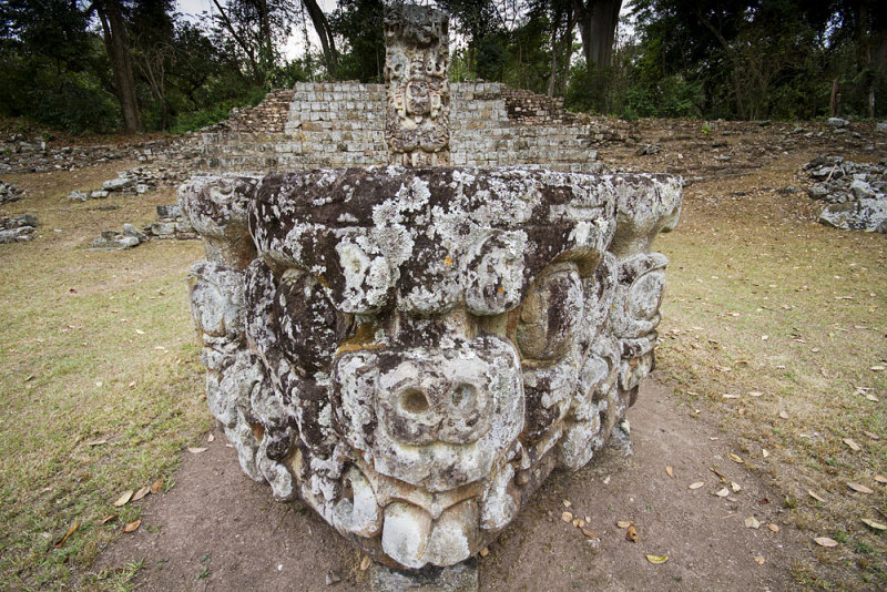 Stela D, Copán Ruins