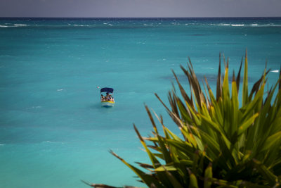 Colorful Caribbean Sea