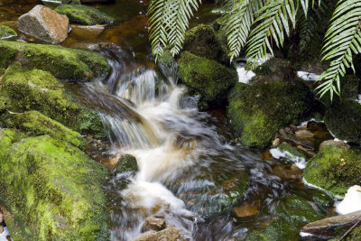 Small Fall, Oparara Basin