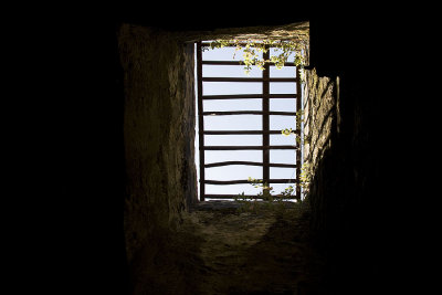 Looking up in the Old Fort