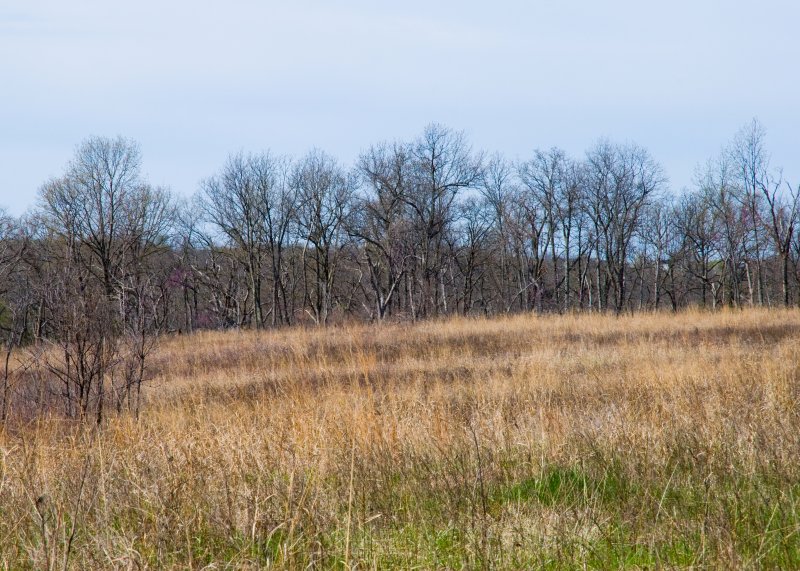 Edge Of The Prairie - Bill G