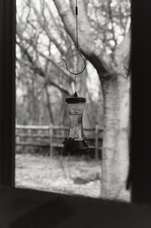 Feeding Time - Bill G