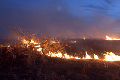 Flames in the Flint Hills