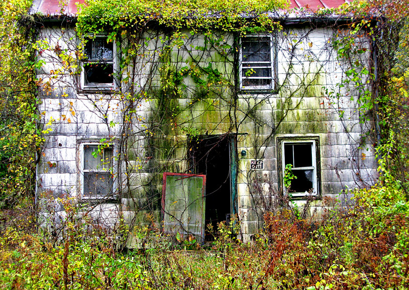 Fixer-Upper